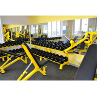 GoldFitness