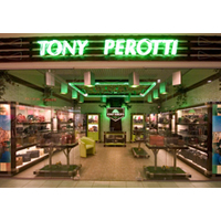 Tony Perotti