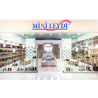 Mini Leydi