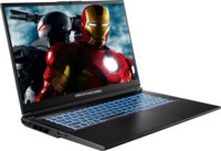 Ноутбук DREAM MACHINES RG5060-17 (RG5060-17UA35)