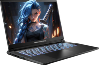 Ноутбук DREAM MACHINES RG5050-17 (RG5050-17UA32)